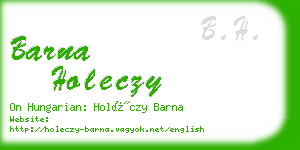 barna holeczy business card